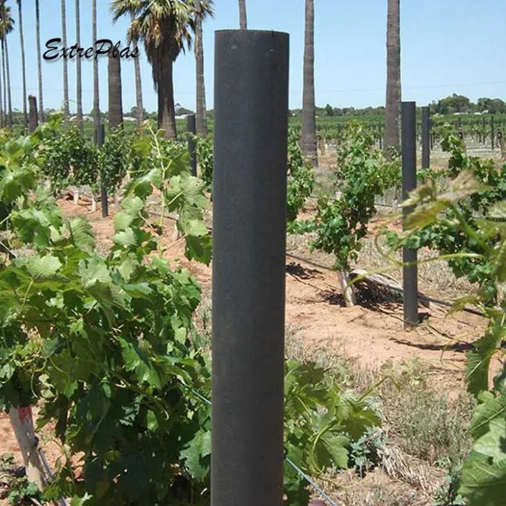 Vineyard Pole